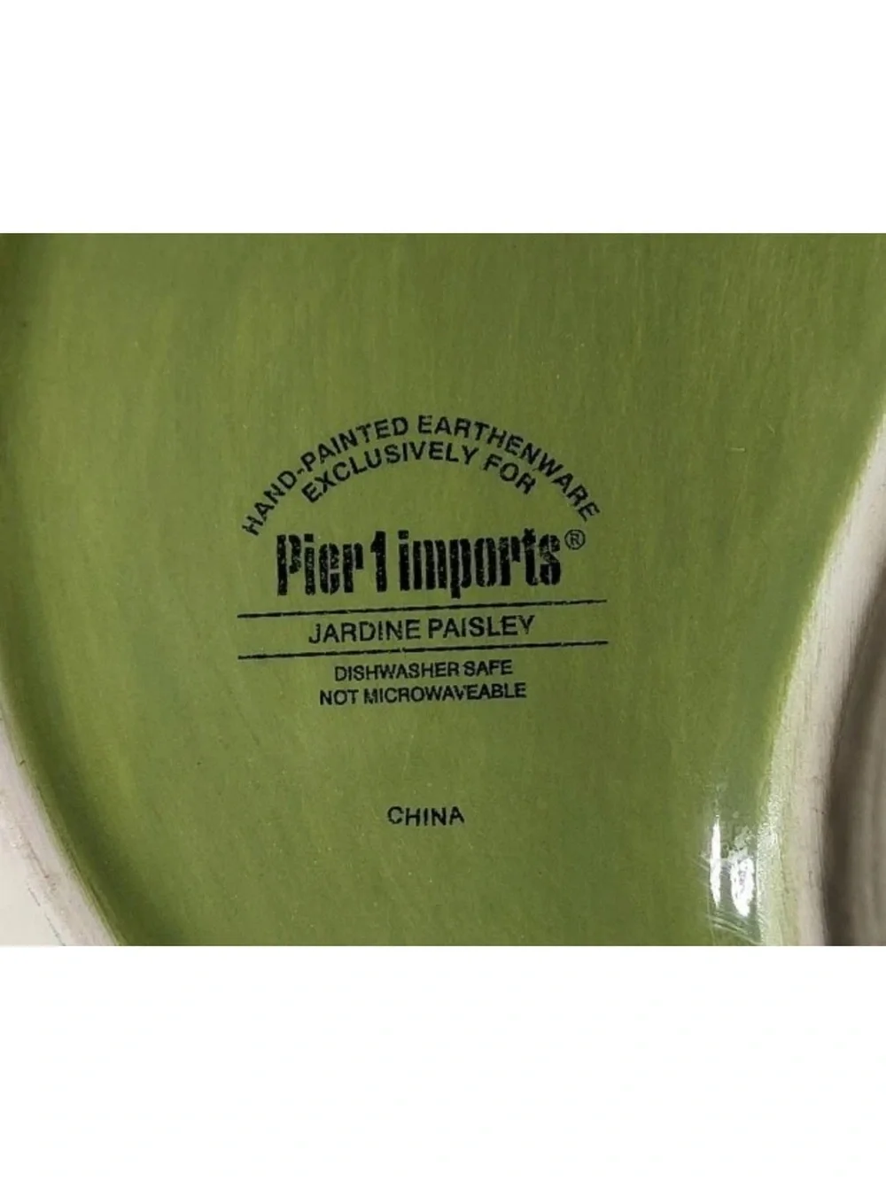 Pier 1 Imports Earthenware Jardine Paisley Shaped Plate/Salsa Dish Hand Painted